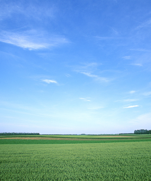 20171116024740558 20171116024740558