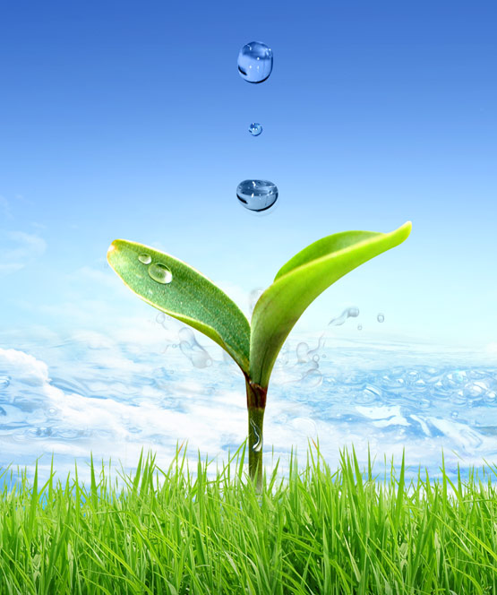 20180112013919929 20180112013919929